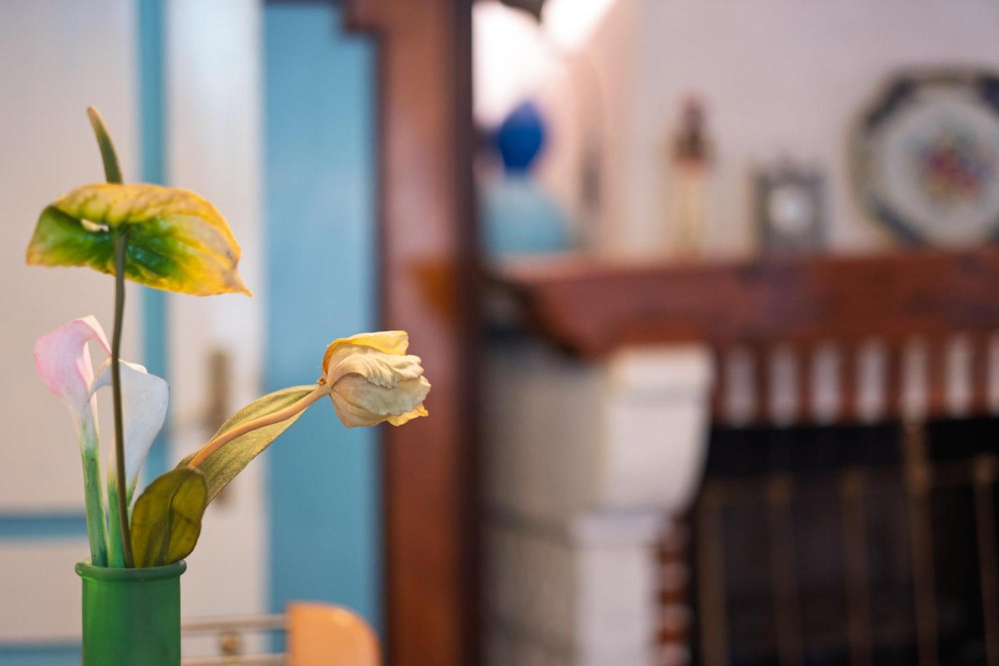 Bluemarine Rooms & Apartments بيراتس المظهر الخارجي الصورة